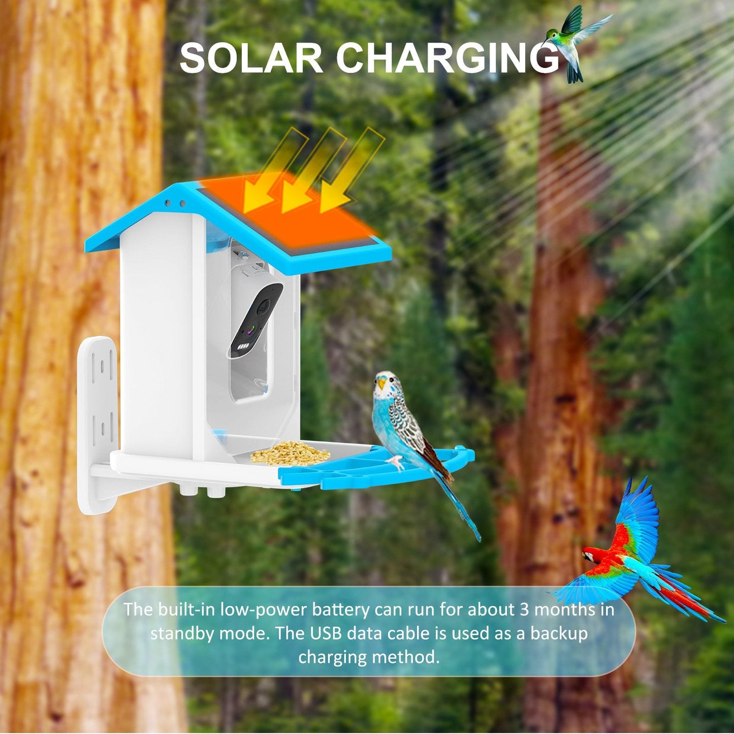 š„Smart Hummingbird Feeder & Bird Bath