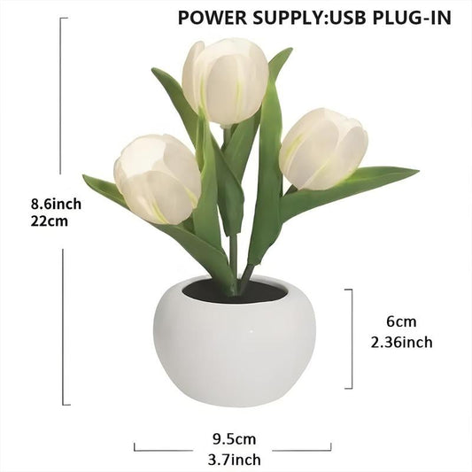 Tulip Design LED Night Light