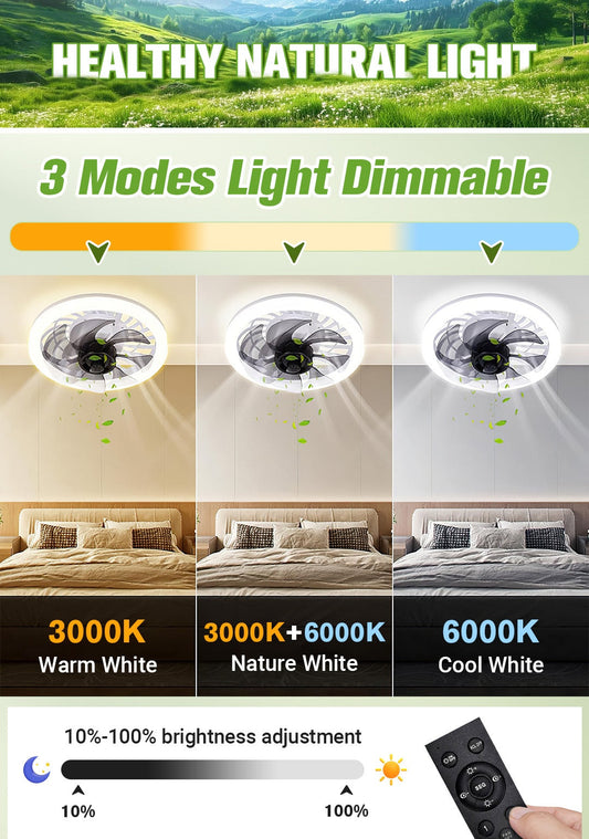 💥 2-in-1 Mute Adjustable Fan Light with Remote Control