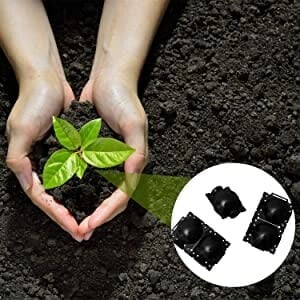 🌱Plant Root Growing Box