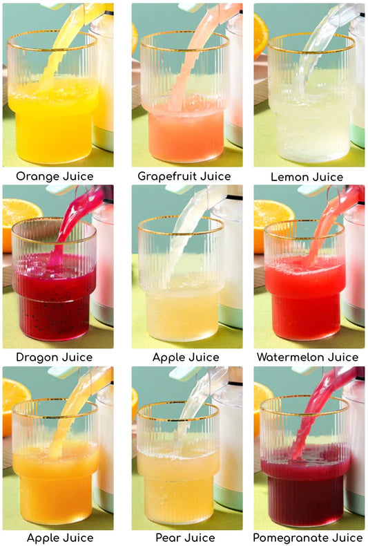 Portable Electric JuiceMate