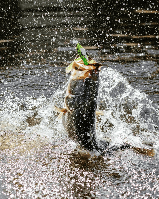 🔥Ultimate Frog Popper Bait