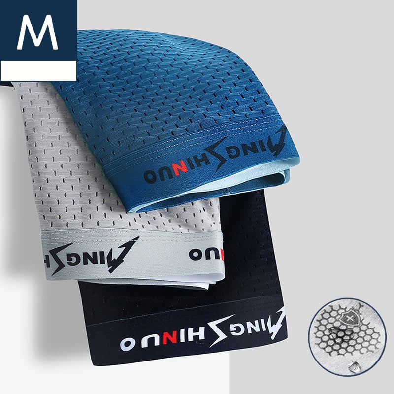 🎅Men's frozen silk boxer shorts