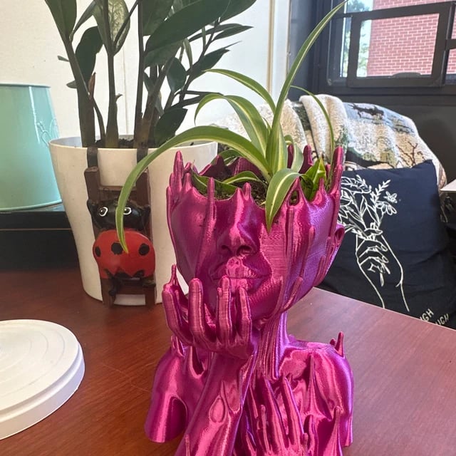 Goddess Head Planter for Home Decor Bedroom Decor Plant Pot