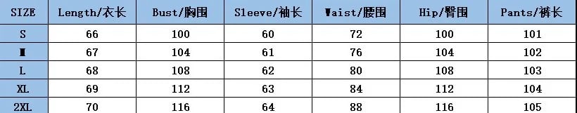 NEW Women's Elegant Pleated Two-Piece Set