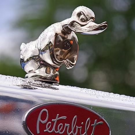 🎁Hood Ornament