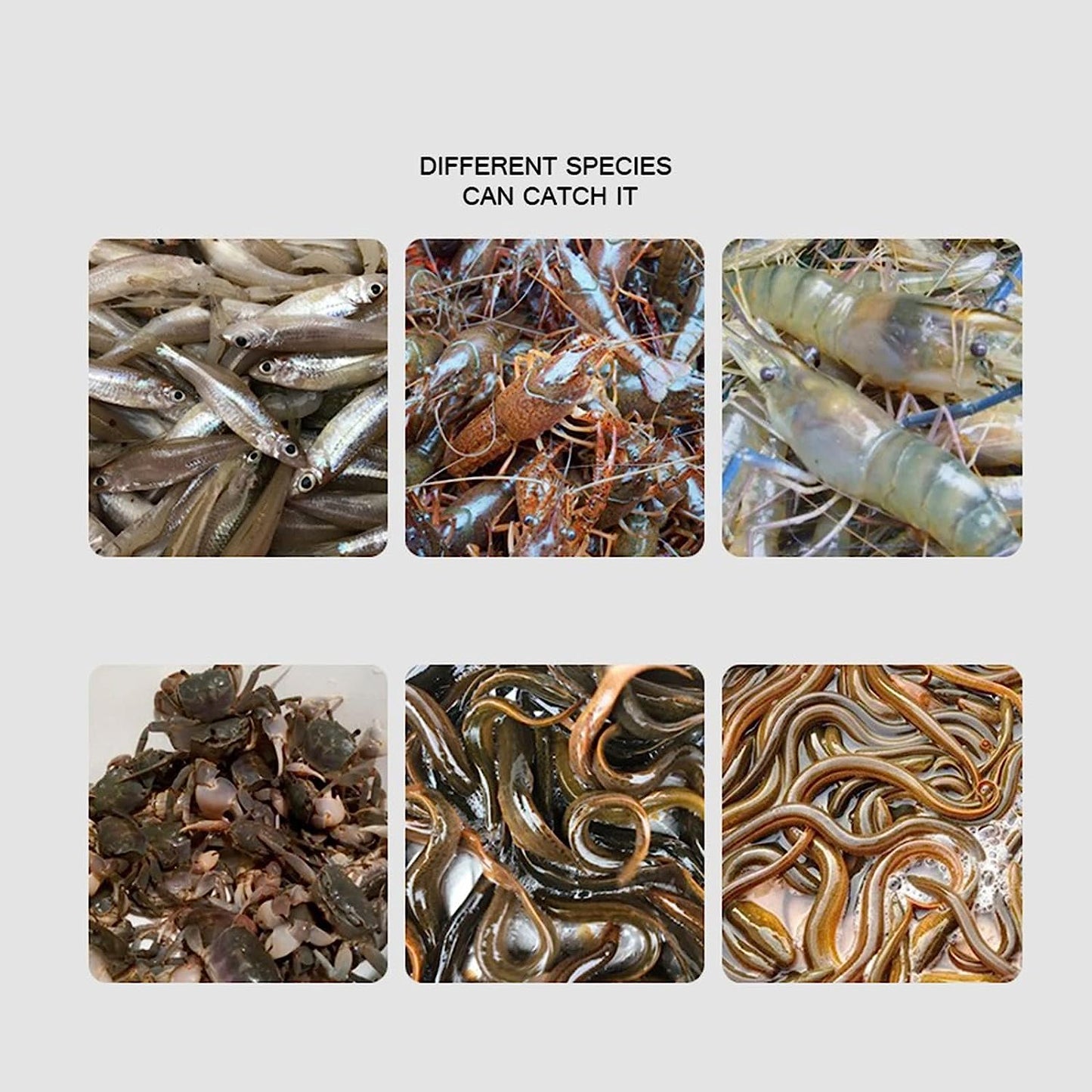 New Upgrade Fish Trap