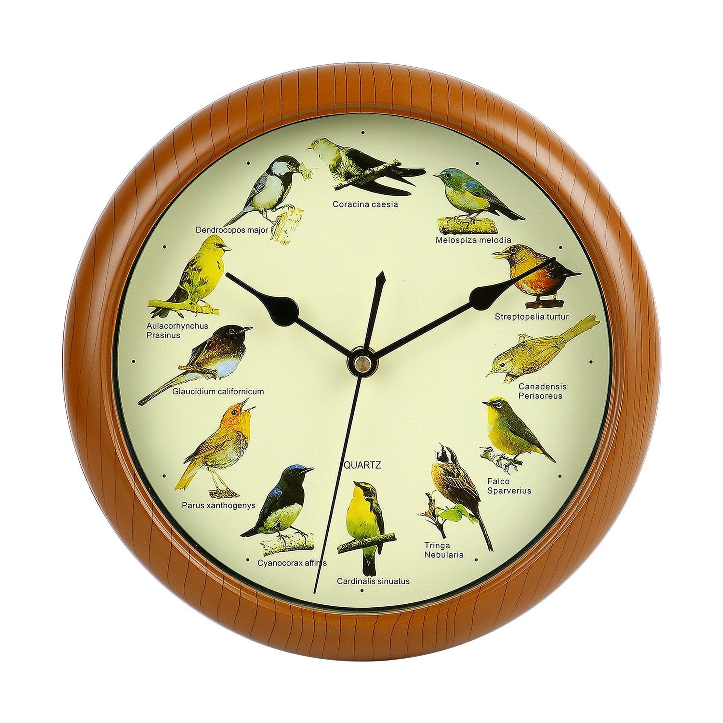 💥Singing Bird Wall Clock