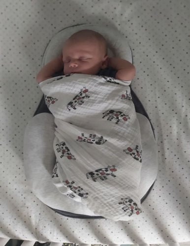 👶Portable Baby Bed