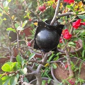 🌱Plant Root Growing Box