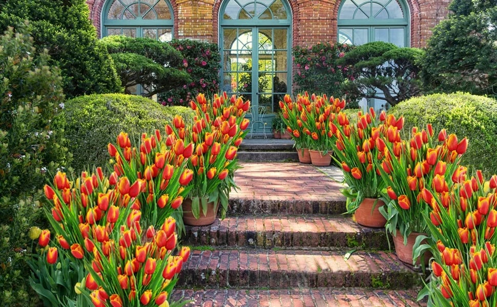 Limited Discount-Outdoor Artificial Tulips Flowers💐