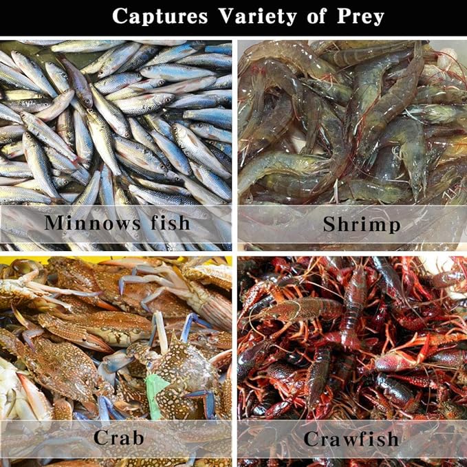 The Magic Foldable Fishing Trap