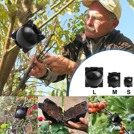 🌱Plant Root Growing Box