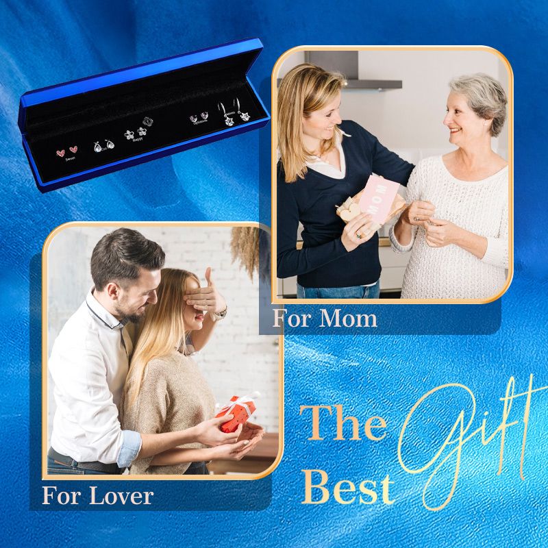 💝Stylish S925 Silver Zircon One-week Earrings Set (6 Pairs)