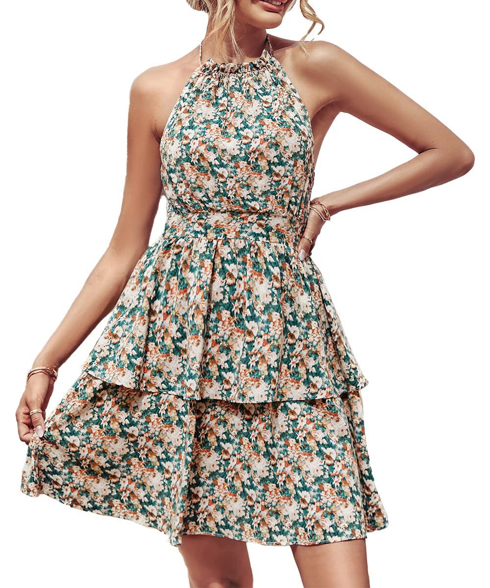 Summer Floral Halter Dress with Ruffle Details and Backless Design