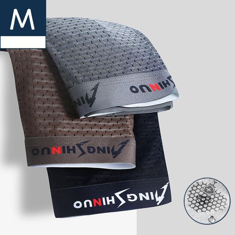 🎅Men's frozen silk boxer shorts