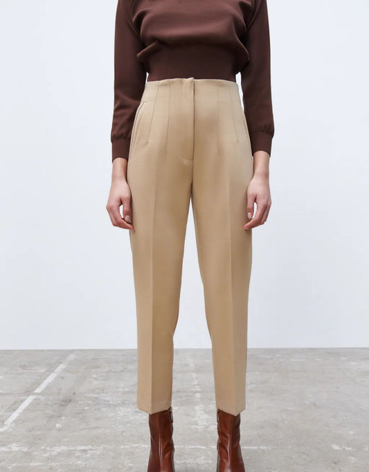 💁‍♀️ Tailored Pleat High Waist Pants