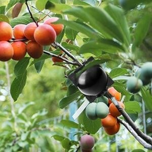 🌱Plant Root Growing Box