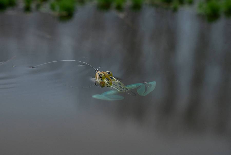 🔥Ultimate Frog Popper Bait