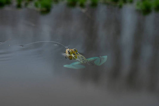 🔥Ultimate Frog Popper Bait