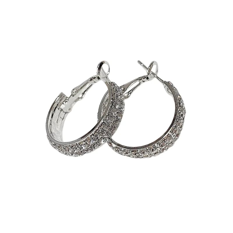 🔥🔥Sparkle Small Hoop Earrings