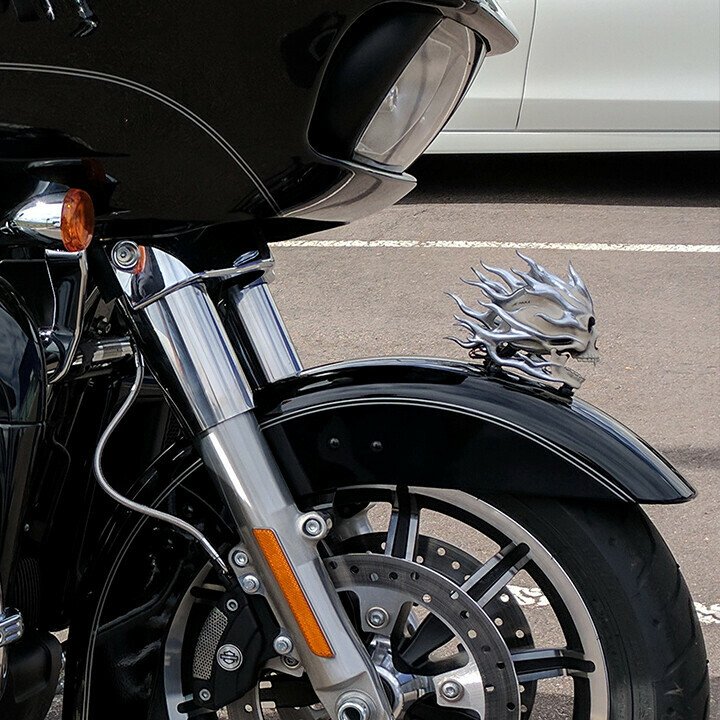 Skeleton motorcycle accessories.