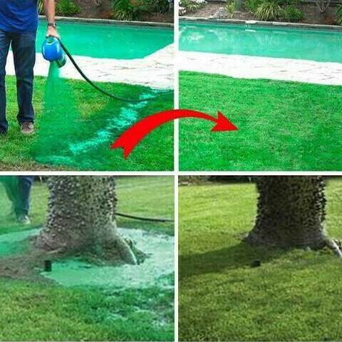 🔥 HOT SALE GREEN GRASS & PEST CONTROL LAWN SPRAY