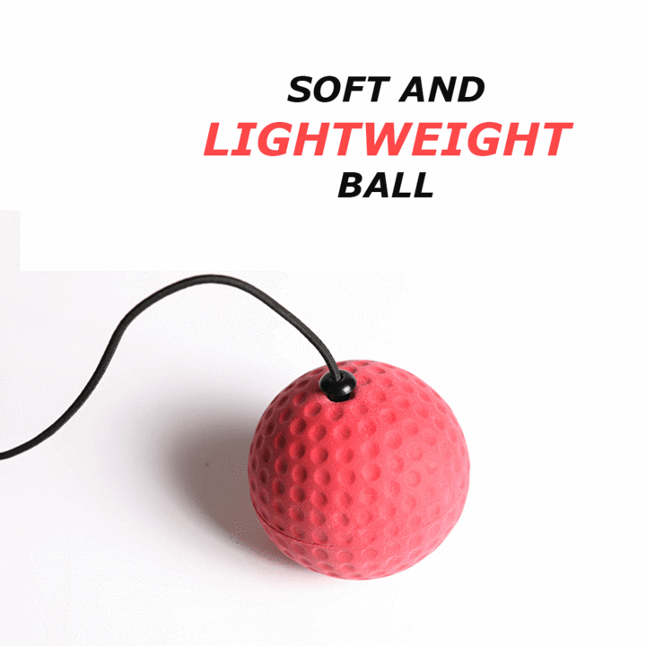 Boxing Reflex Ball