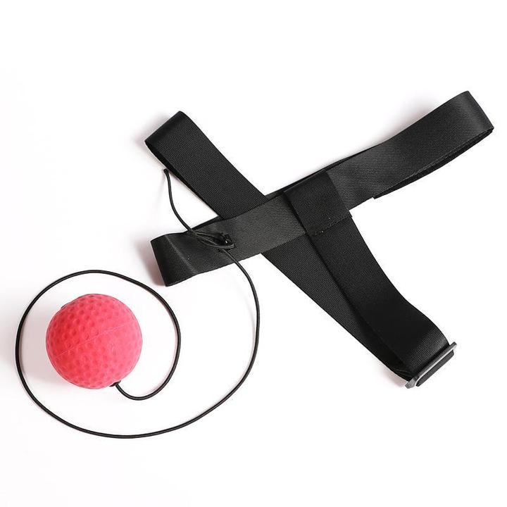 Boxing Reflex Ball
