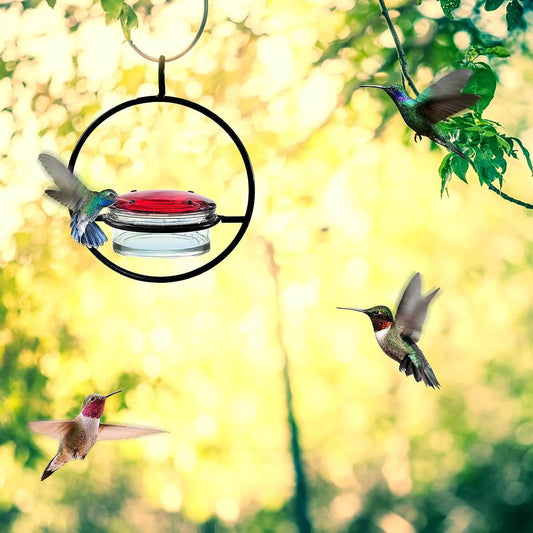 Metal Hummingbird Water Feeder