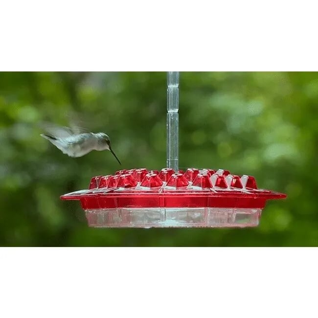 🔥MARY'S HUMMINGBIRD FEEDER WITH PERCH