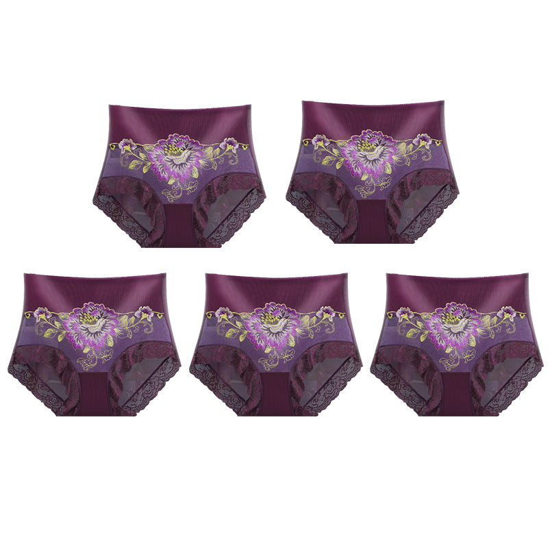 High Waist Premium Lace Embroidered Panties (5-Pack)