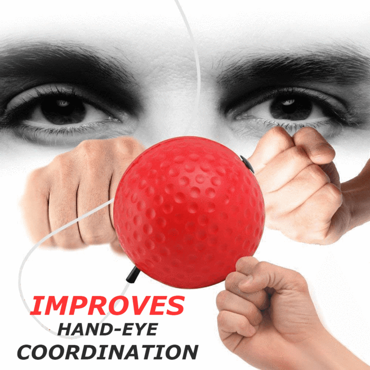 Boxing Reflex Ball