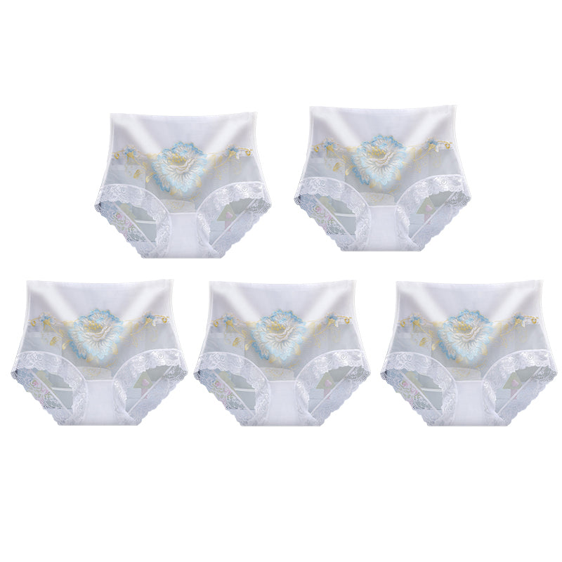 High Waist Premium Lace Embroidered Panties (5-Pack)