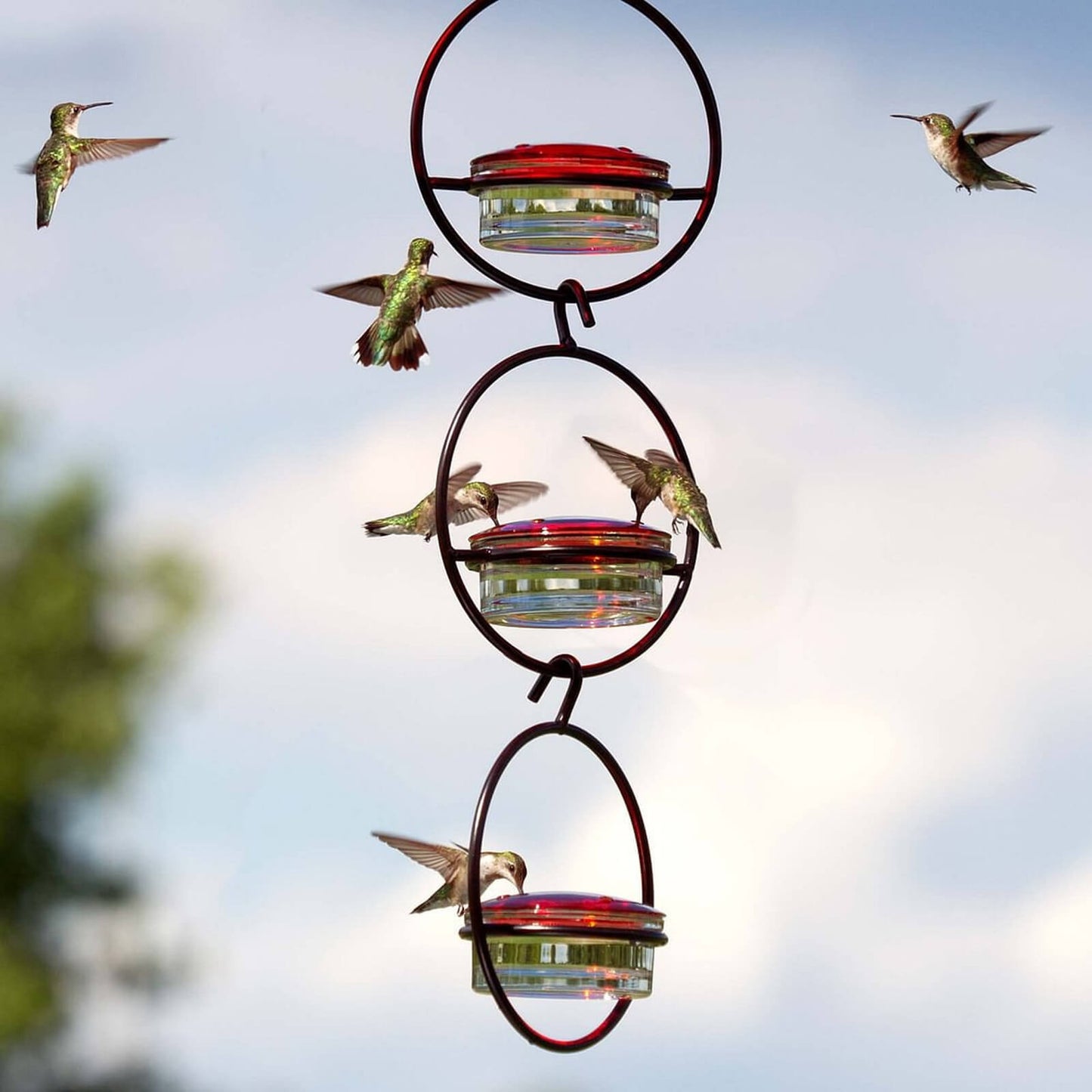 Metal Hummingbird Water Feeder
