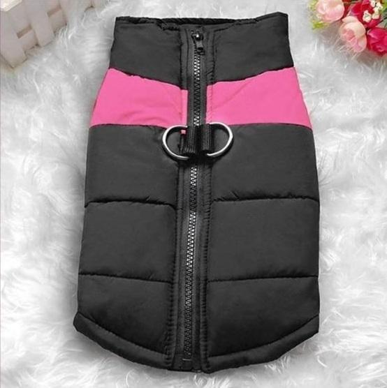 Dog Jacket - Special Discount
