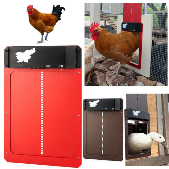 (🎄Hot Sale🎄)-Poultry Farm Automatic Chicken House Door
