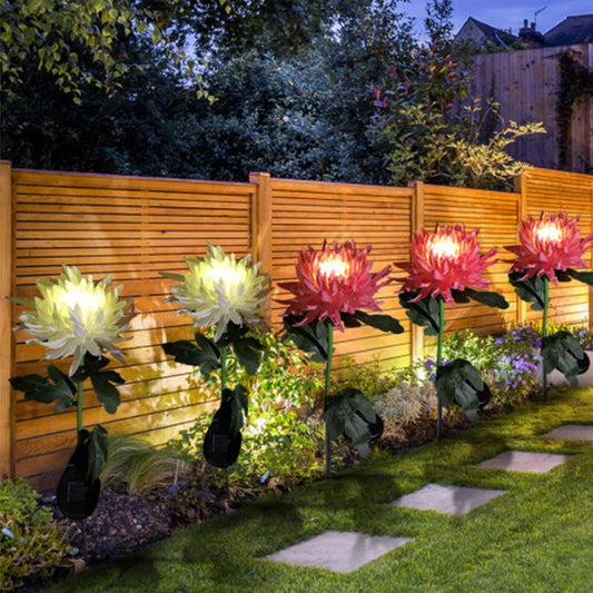 Solar Chrysanthemum Garden Light