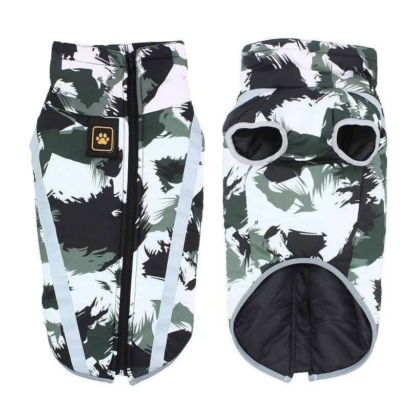 🐕abrigo para perros