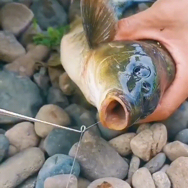 Fishing Hook Quick Removal Device