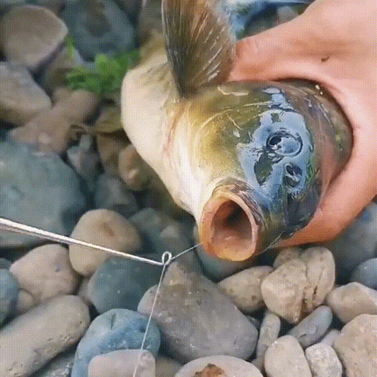 Fishing Hook Quick Removal Device