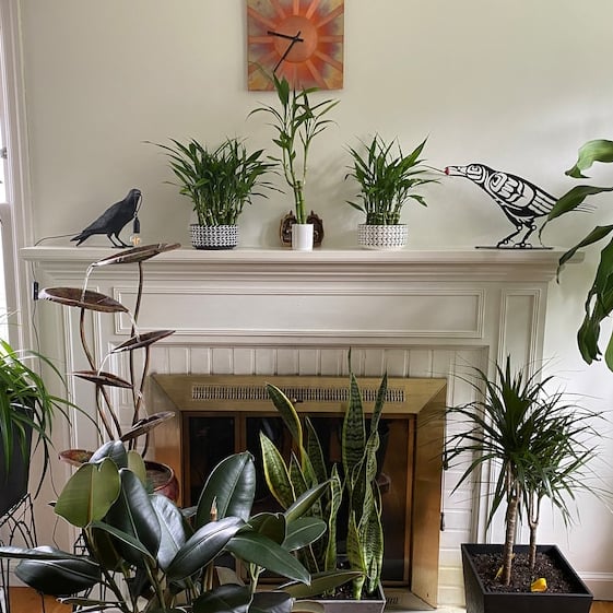 First Nations Native Steel Cut Raven with Berry