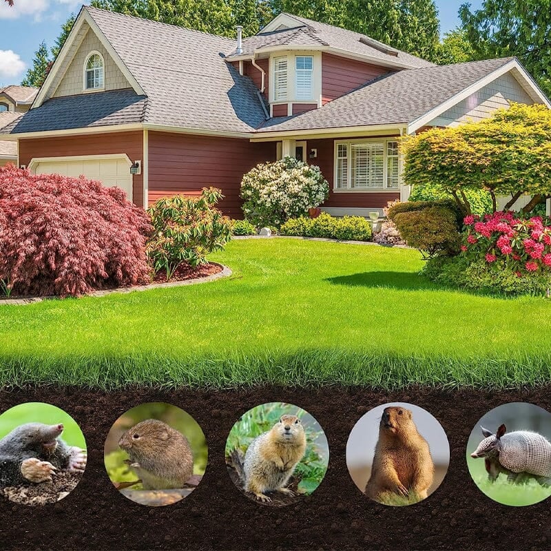 Rat repellent pills, insect repellent pills