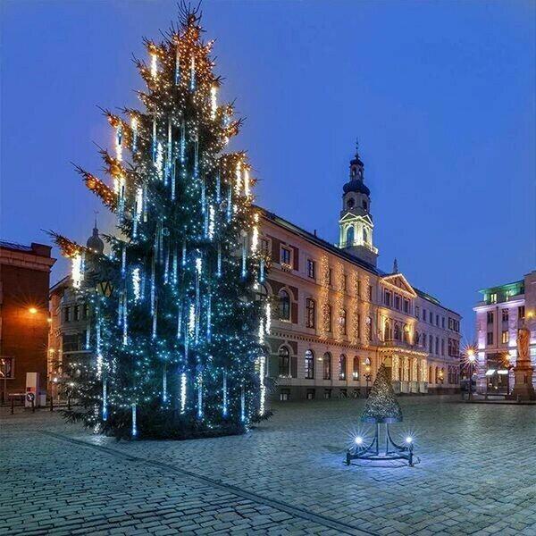 🎄Early Christmas Sale!- Snow Fall LED Lights