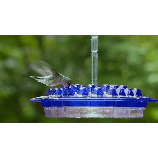 🔥MARY'S HUMMINGBIRD FEEDER WITH PERCH