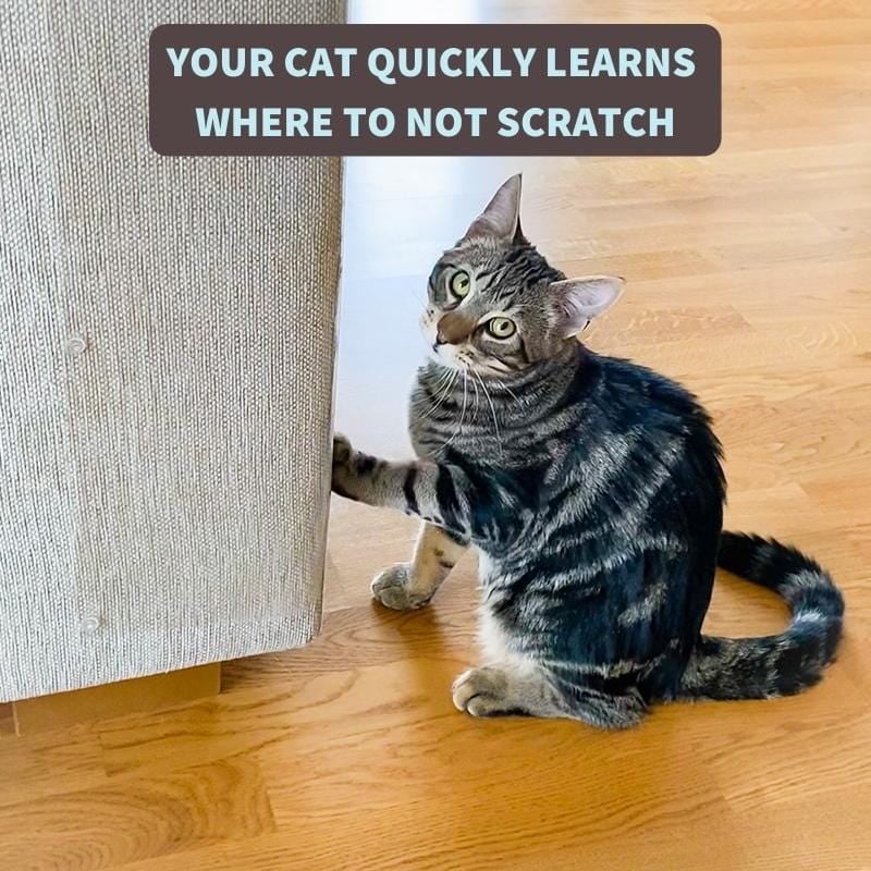 🔥🔥 Furniture Scratch Protector